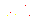 ani_star