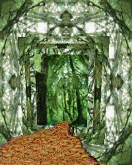 walking in the forest